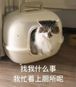 DƬ